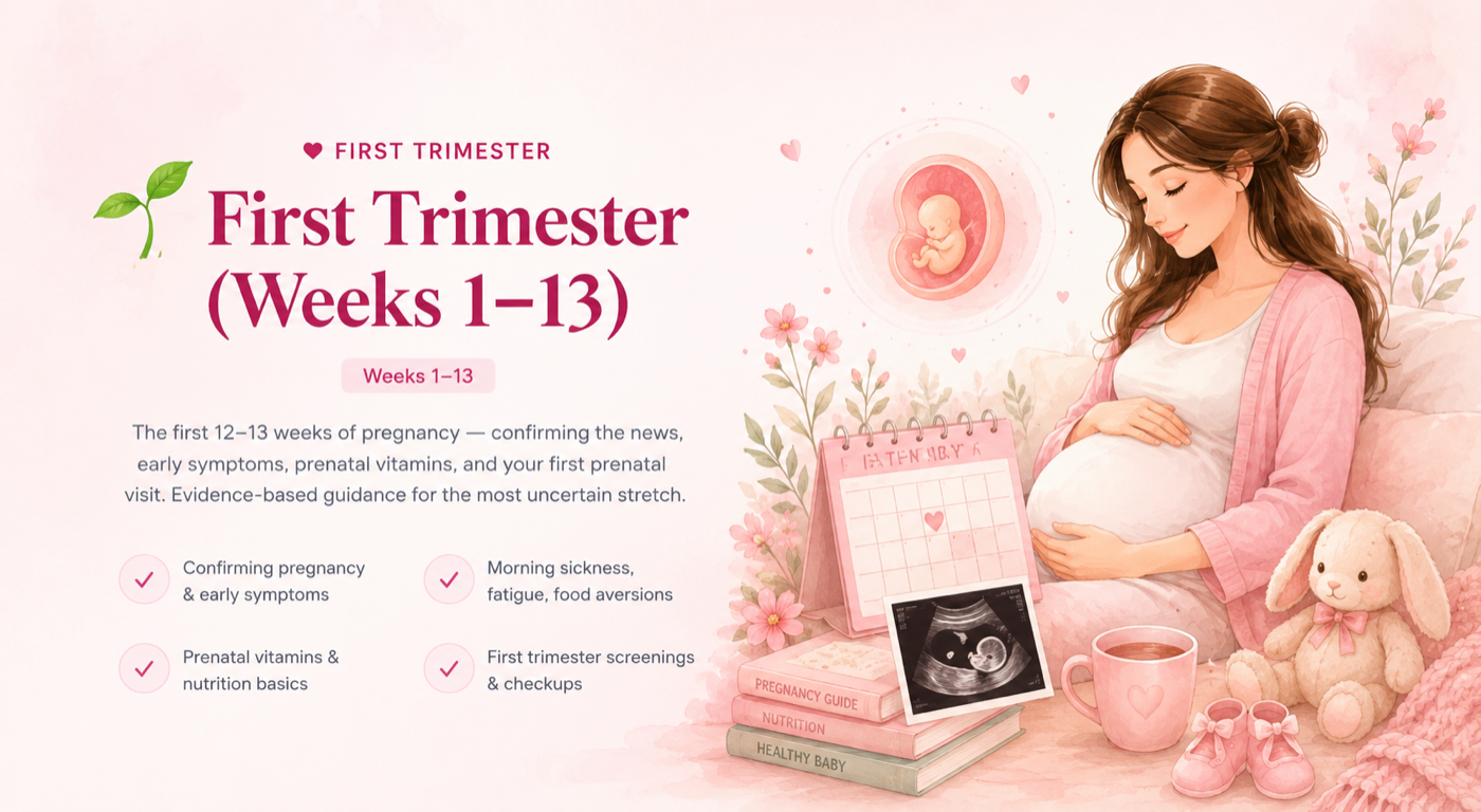 First Trimester (Weeks 1–13). The first 12-13 weeks of pregnancy — confirming the news, early symptoms, prenatal vitamins, and your first prenatal visit. Topics: confirming pregnancy & early symptoms, morning sickness/fatigue/food aversions, prenatal vitamins & nutrition basics, first trimester screenings & checkups.